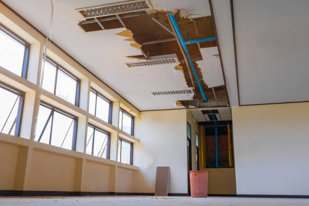 Best Professional water damage repair  in Newington Forest, VA