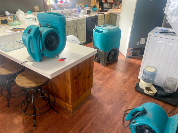 Best Local water damage restoration  in Newington Forest, VA