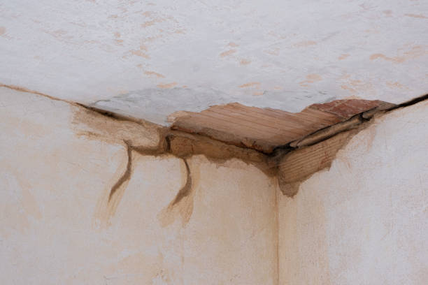 Best Flooded house restoration  in Newington Forest, VA