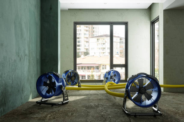 Best Water damage restoration near me  in Newington Forest, VA